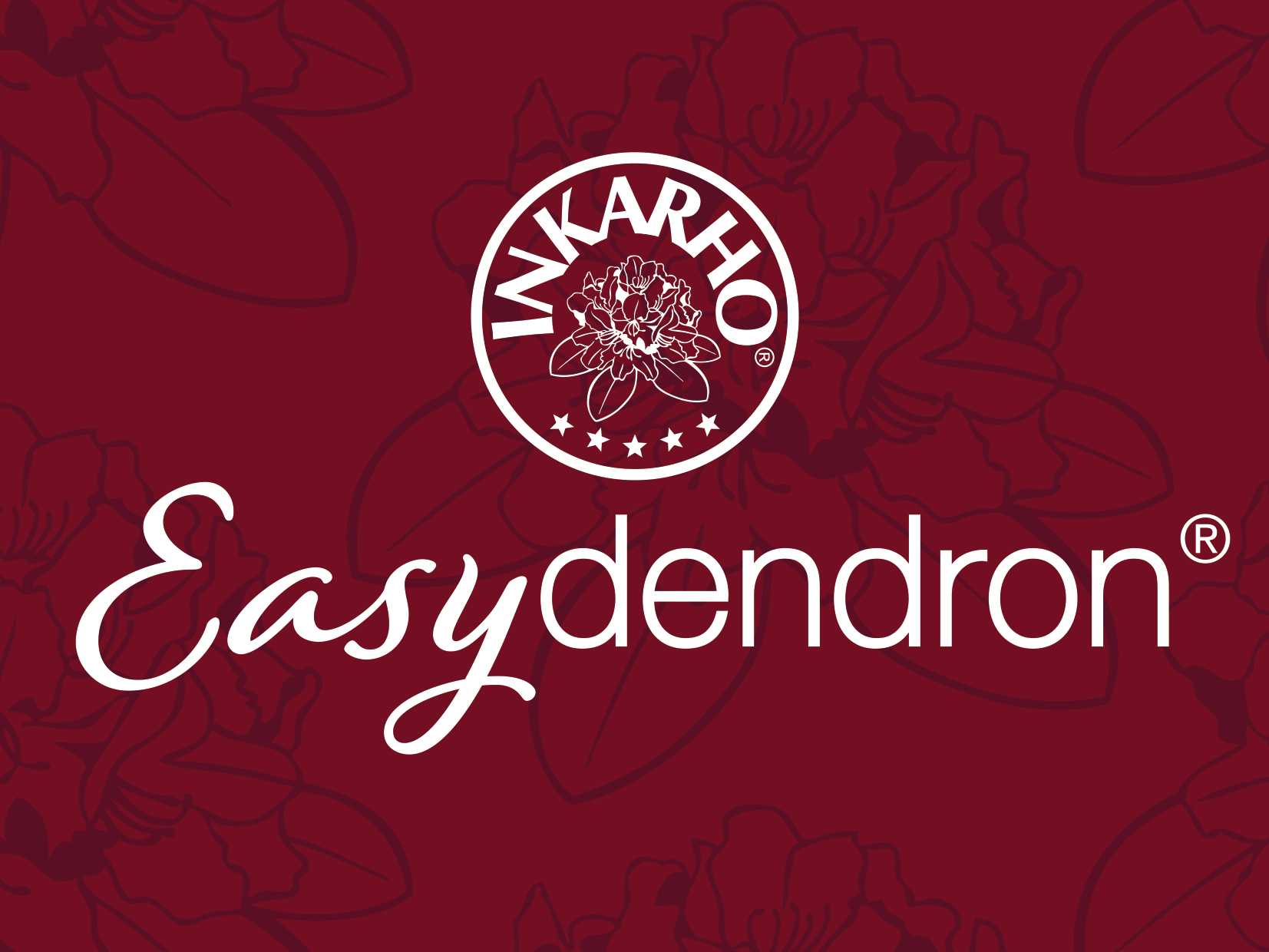 Easydendron Markenlogo